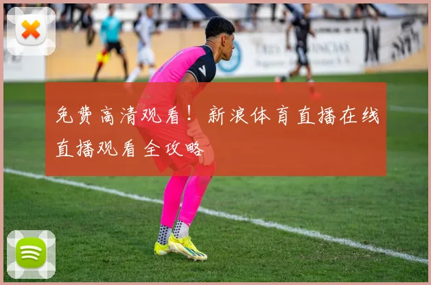 免费高清观看!新浪体育直播在线直播观看全攻略
