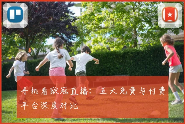 手机看欧冠直播：五大免费与付费平台深度对比