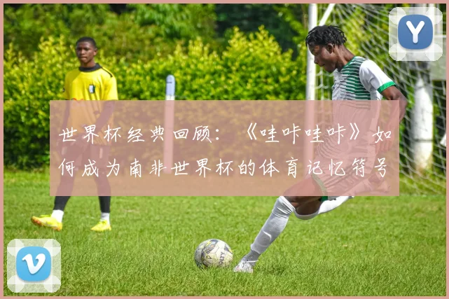 世界杯经典回顾：《哇咔哇咔》如何成为南非世界杯的体育记忆符号？